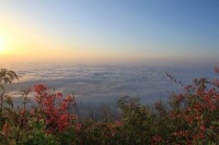 普禪山