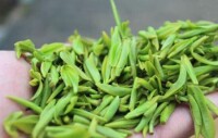 餘姚瀑布仙茗