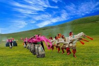 藏民族載歌載舞