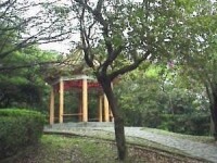 虎頭山公園