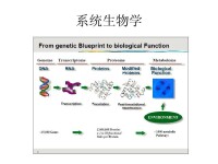 系統生物學