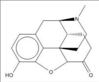 氫嗎啡酮