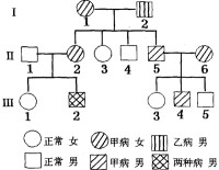 線粒體基因病系譜圖