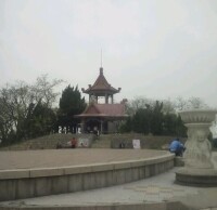 櫸林公園