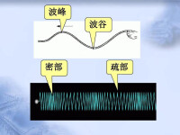 機械性傳播