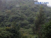 石頭村[雲南省楚雄州雙柏縣法脿鎮石頭村]