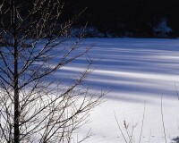 雪景[自然景象]