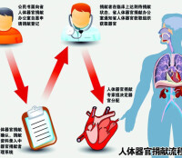 器官捐獻