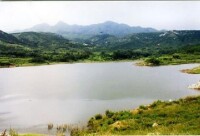 觀光、生態旅遊項目-青島華馨頤梅園林