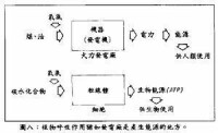 植物呼吸作用猶如發電廠