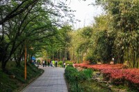 湖南省森林植物園