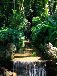 里約熱內盧植物園