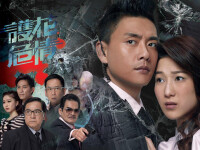 憑藉《護花危情》成為TVB2012年度平均收視總冠軍