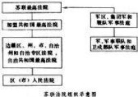 蘇聯法院組織