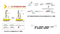 生物電化學