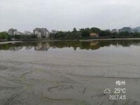 劍英公園70（一號湖進行升級改造）