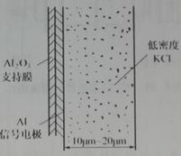 圖1-2 SEC靶結構示意圖