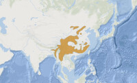 中華斑羚分布圖