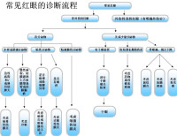 眼部診斷流程