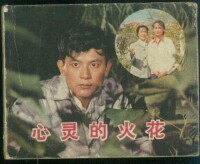 心靈的火花[1983年出版連環畫]