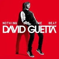 Nothing Really Matters[David Guetta演唱歌曲]