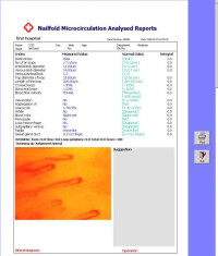微循環圖像計算機分析報告
