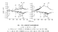 圖 1 污水 、土壤及地下水的色譜圖比較