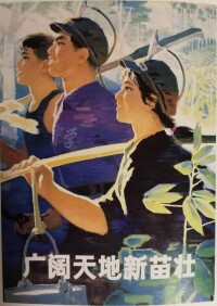 宣傳畫《廣闊天地新苗壯》1973年作