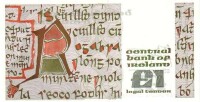 錢幣上的女王，背面愛爾蘭文字