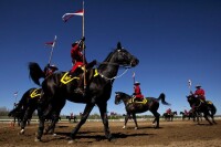 加拿大皇家騎警馬隊在渥太華進行表演
