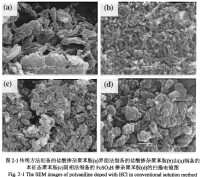 聚苯胺四種方法製備后的電鏡圖