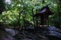 （圖）賀茂別雷神社