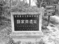 薛家崗遺址