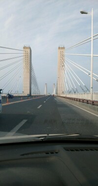 蕪湖長江大橋