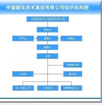 中國建築技術集團有限公司