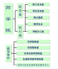 元組織機構圖