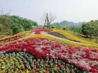 靈山鎮花香葯谷現代農業示範園規劃圖