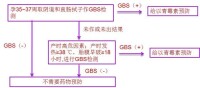 GBS[B族鏈球菌]