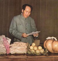 毛澤東考察中農