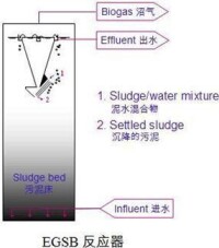 EGSB反應器構造圖