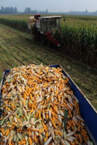 玉米收割機