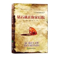 鑽石就在你家後院[2013年經濟科學出版社出版圖書]