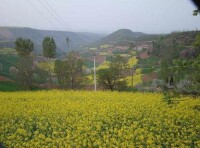 仲山生態森林公園