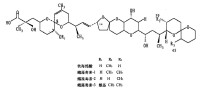 腹瀉性貝毒