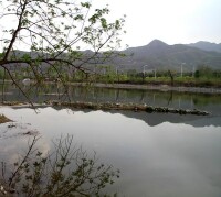 青龍湖自然風光照片
