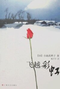 飛越彩虹[小池真理子著，上海文藝出版社出版圖書]