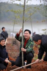 陳永華(中)和農民一起栽種翠竹