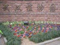 中國科學院武漢植物園1