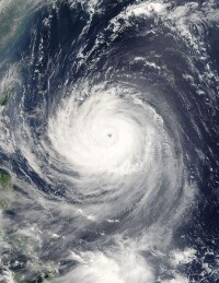 颱風泰利