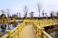 榿木河濕地公園景觀